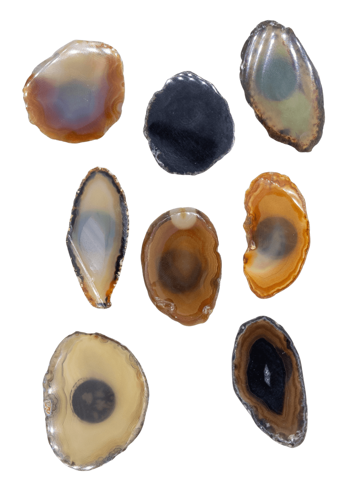 agate slice magnet group shot