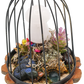 Bird Cage Crystal Sculpture 6