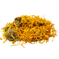 calendula marigold spellcasting herbs