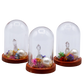 Fairy Quartz Terrarium in Glass Dome group