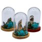 Garden Quartz Terrarium in Glass Dome group