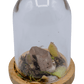 hematoid crystal terrarium 2