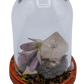 hematoid crystal terrarium 3