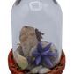 hematoid crystal terrarium 1