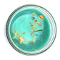 fast luck 7 day spell candle top