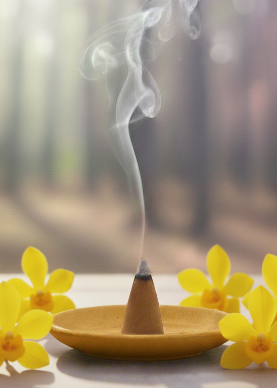 nag champa incense cones hand dipped