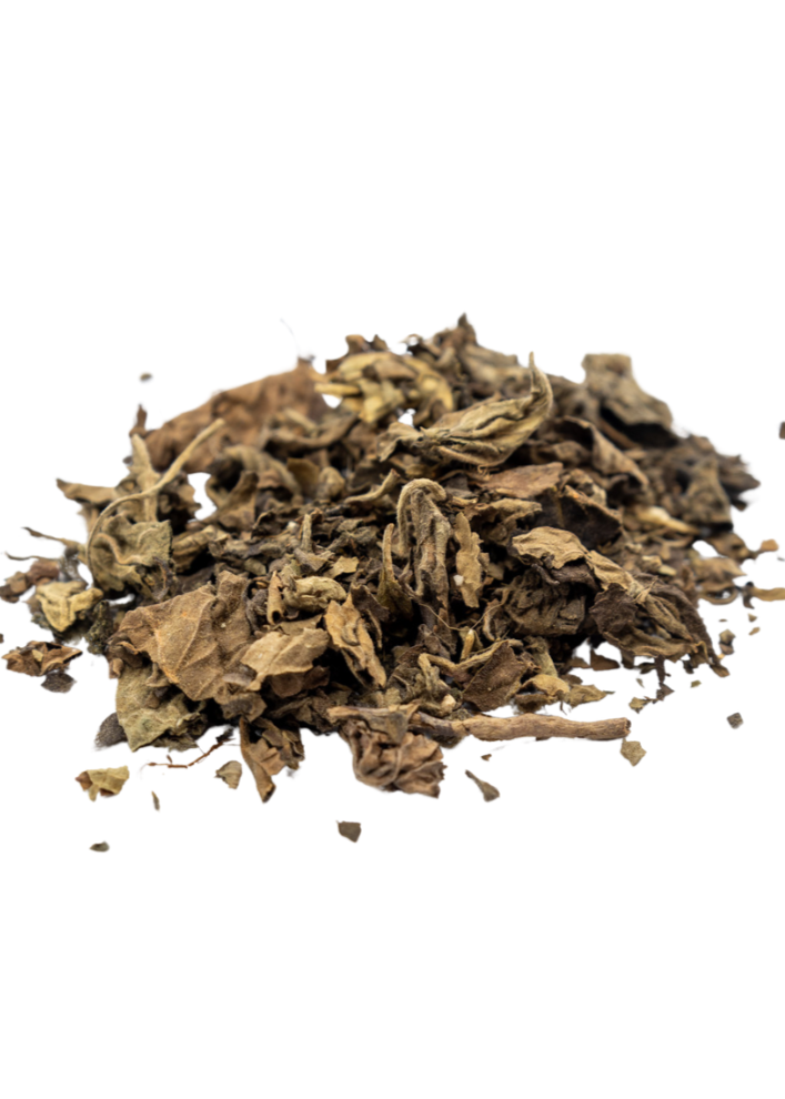 patchouli herb