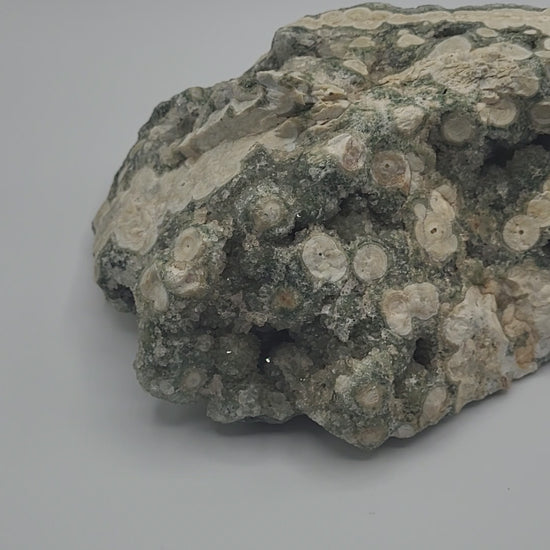 8th vein ocean jasper video