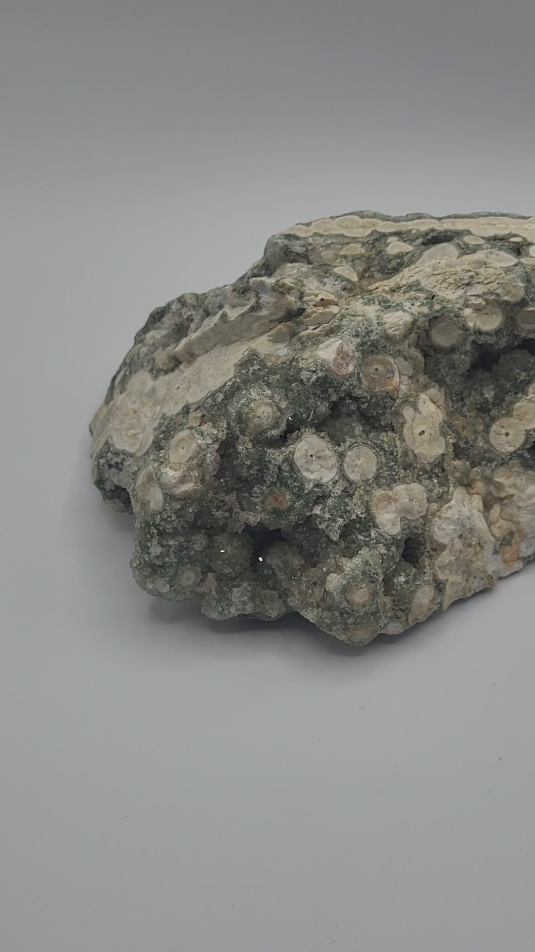 8th vein ocean jasper video
