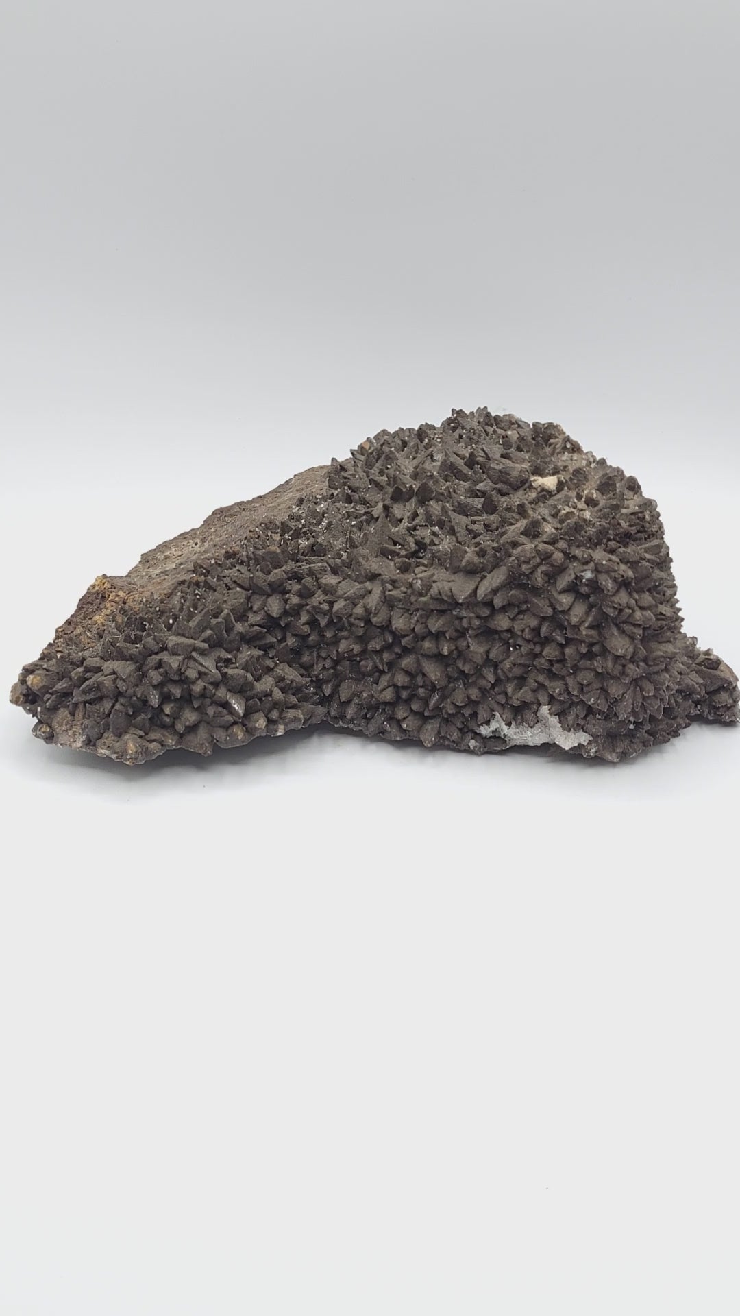 Large Dogtooth Calcite Display Specimen video