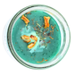 prosperity 7 day spell candle top