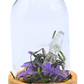 Quartz terrarium in a glass dome with crystal point, moss, and purple floral accents