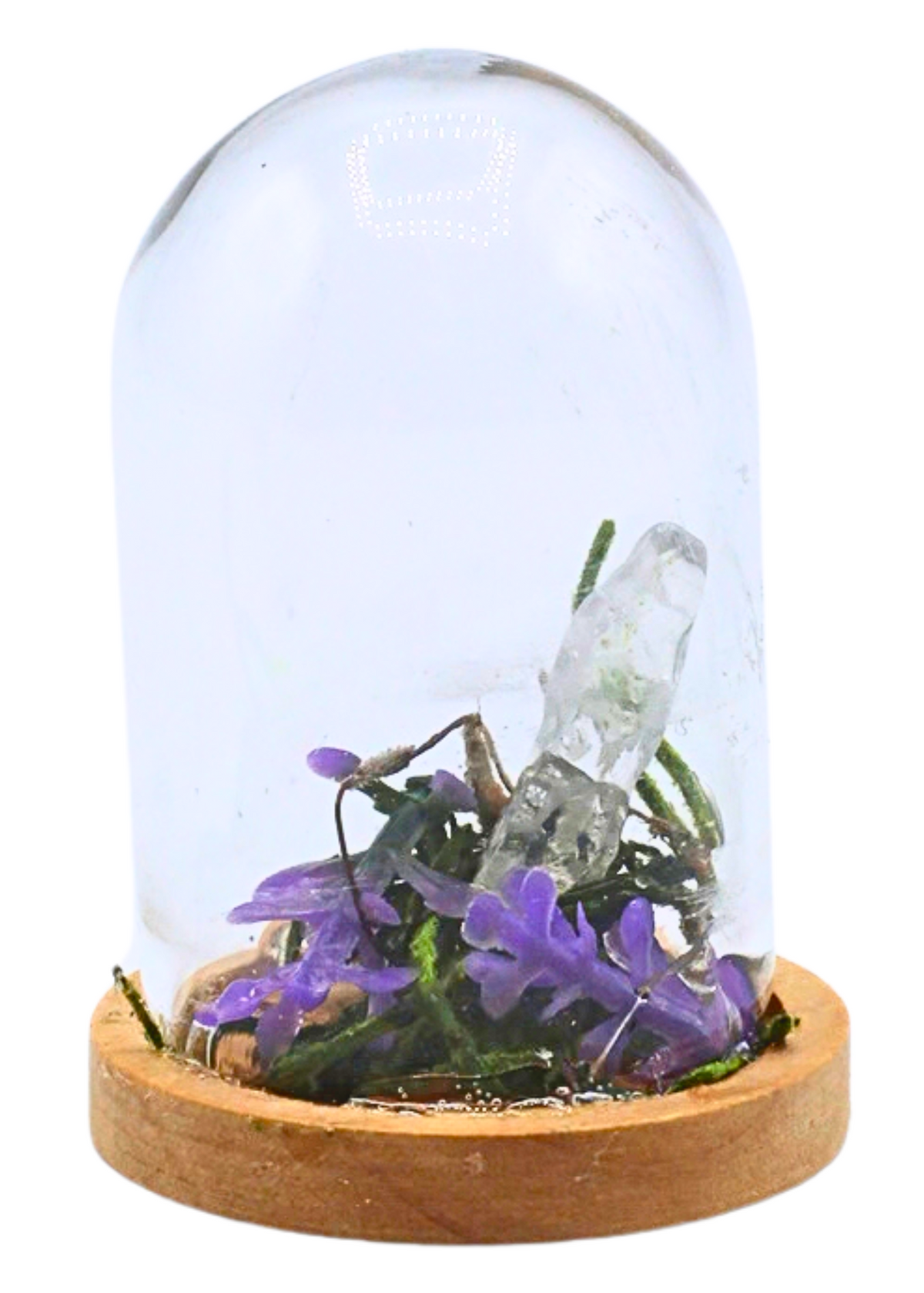 Quartz terrarium in a glass dome with crystal point, moss, and purple floral accents