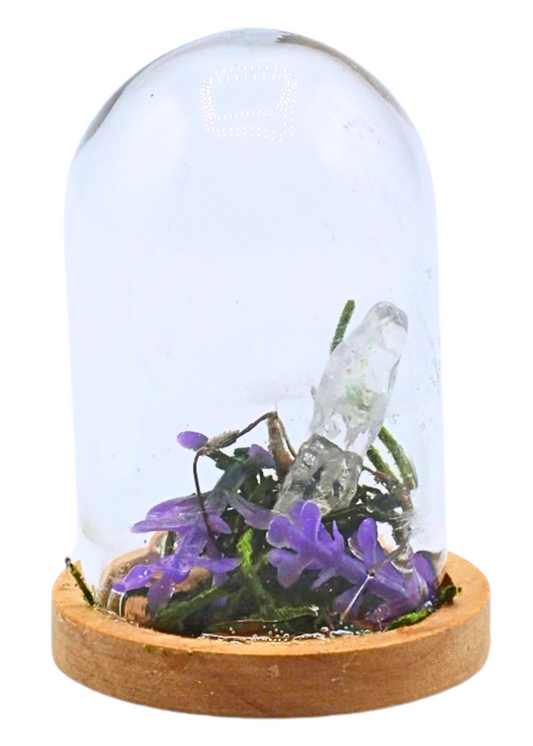 Quartz terrarium in a glass dome with crystal point, moss, and purple floral accents