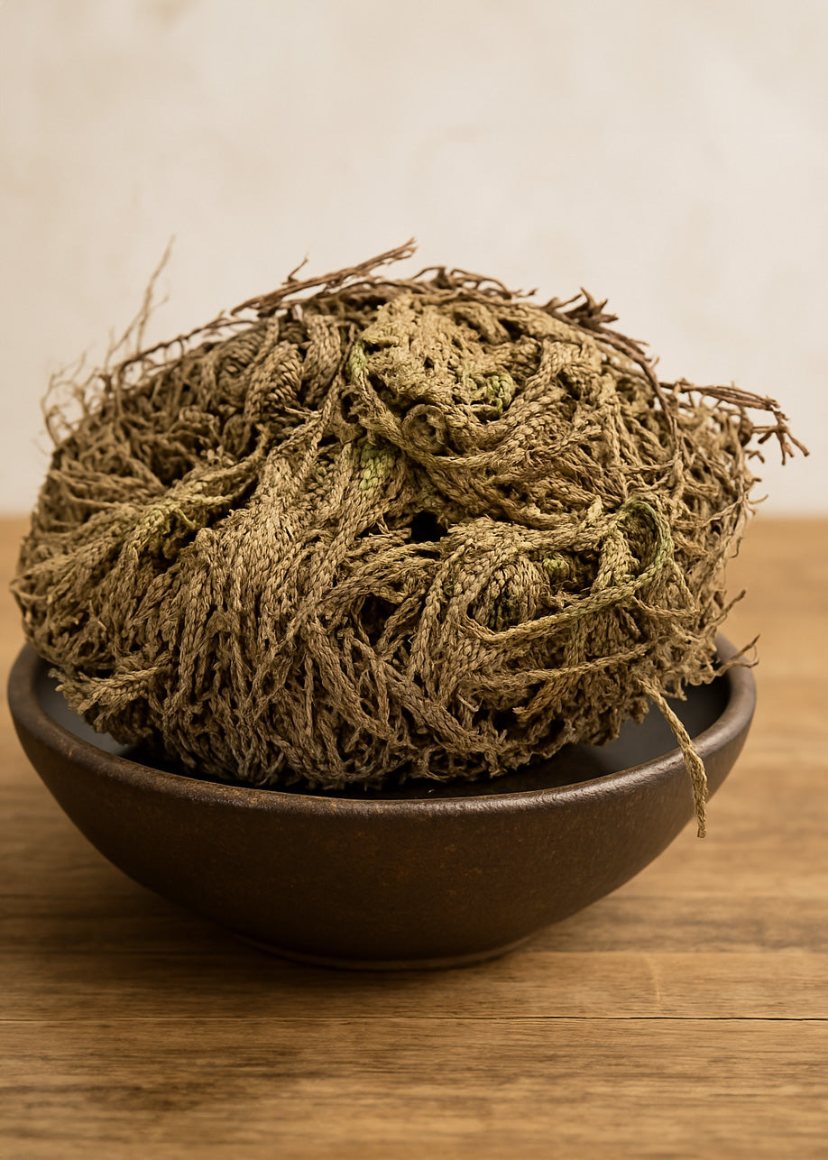Rose Of Jericho
