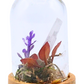 Selenite terrarium in a glass dome with selenite wand, moss, and floral accents