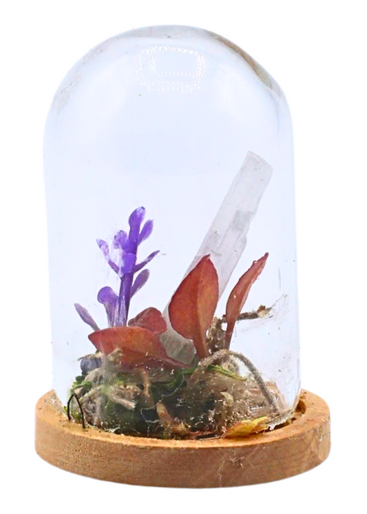Selenite terrarium in a glass dome with selenite wand, moss, and floral accents