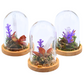 Selenite terrariums in glass domes with selenite wands, moss, and floral accents