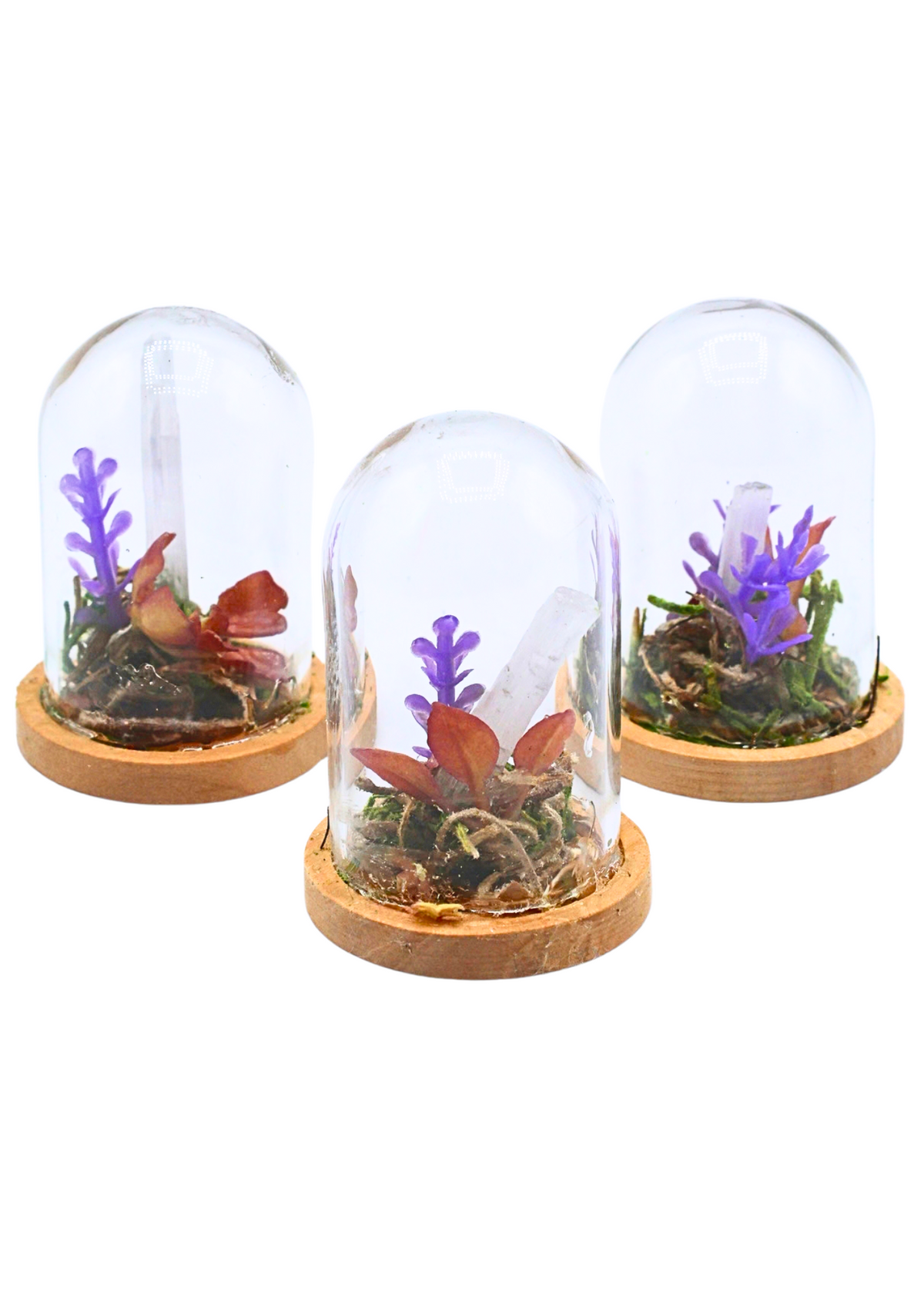 Selenite terrariums in glass domes with selenite wands, moss, and floral accents