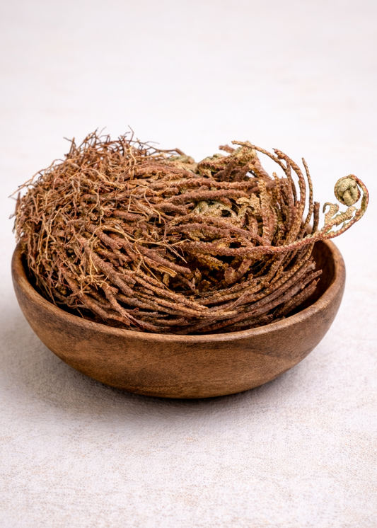 Small Rose of Jericho Doradilla Flower