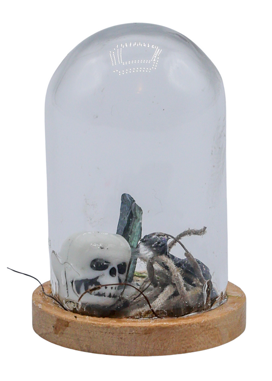 Vivianite Terrarium in Glass Dome