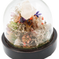 Glass Domed Terrarium with Wood Base Crystal Sculpture angle