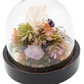 Glass Domed Terrarium with Wood Base Crystal Sculpture 2
