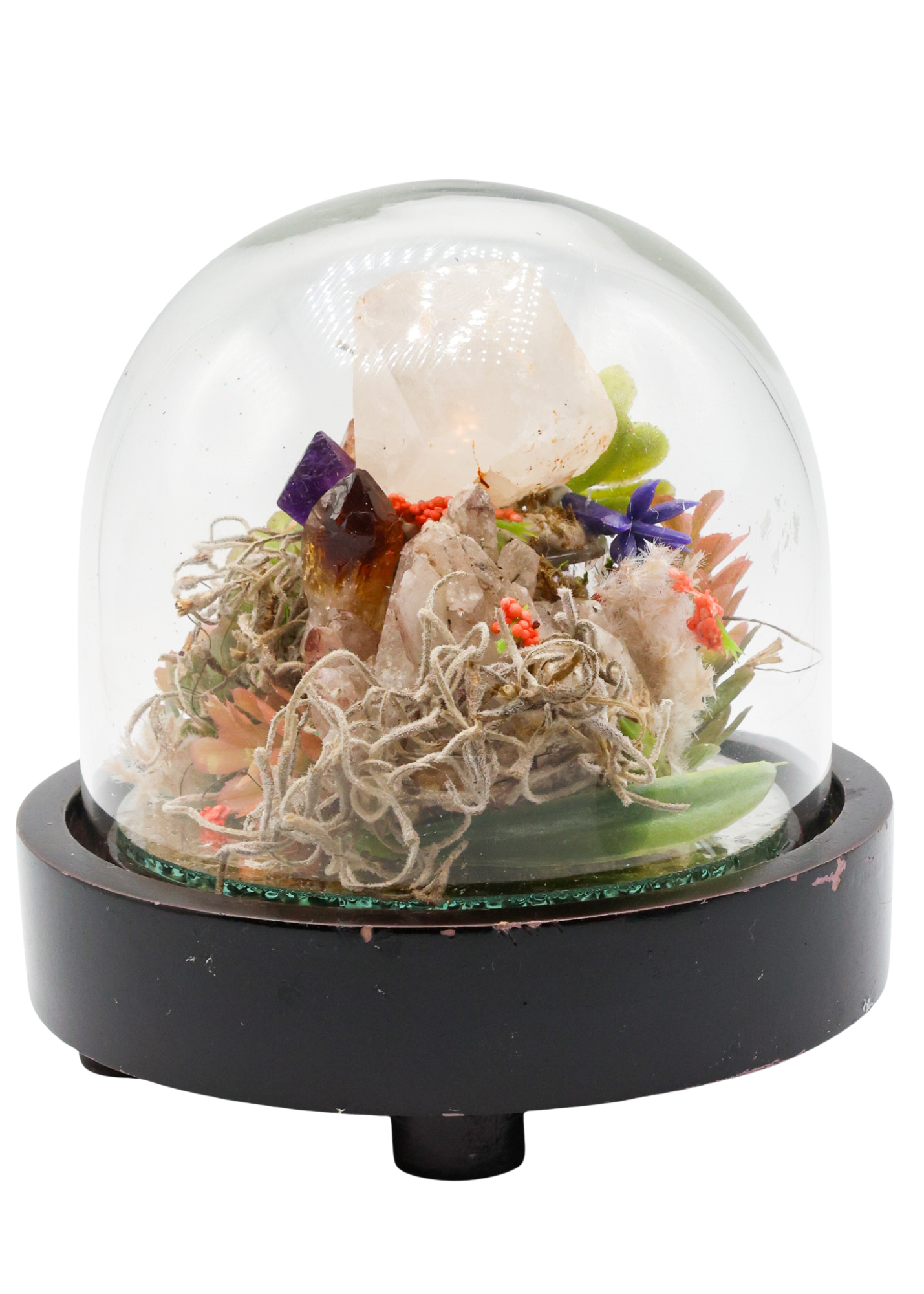 Glass Domed Terrarium with Wood Base Crystal Sculpture 3
