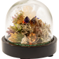Glass Domed Terrarium with Wood Base Crystal Sculpture 4