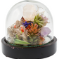 Glass Domed Terrarium with Wood Base Crystal Sculpture