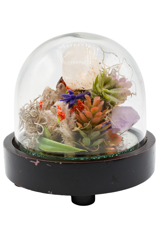 Glass Domed Terrarium with Wood Base Crystal Sculpture